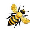 Illustrated honey bee